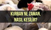 Kurban nasıl kesilir? Kurban ne zaman kesilir? Kurban eti nasıl dağıtılır?